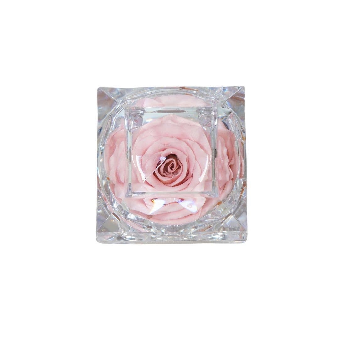 Écrin de Rose
