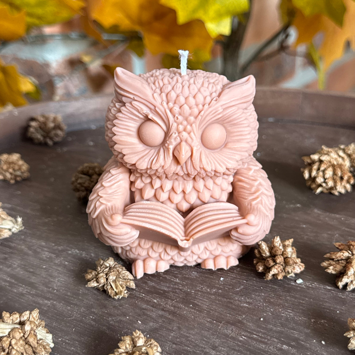 Hibou