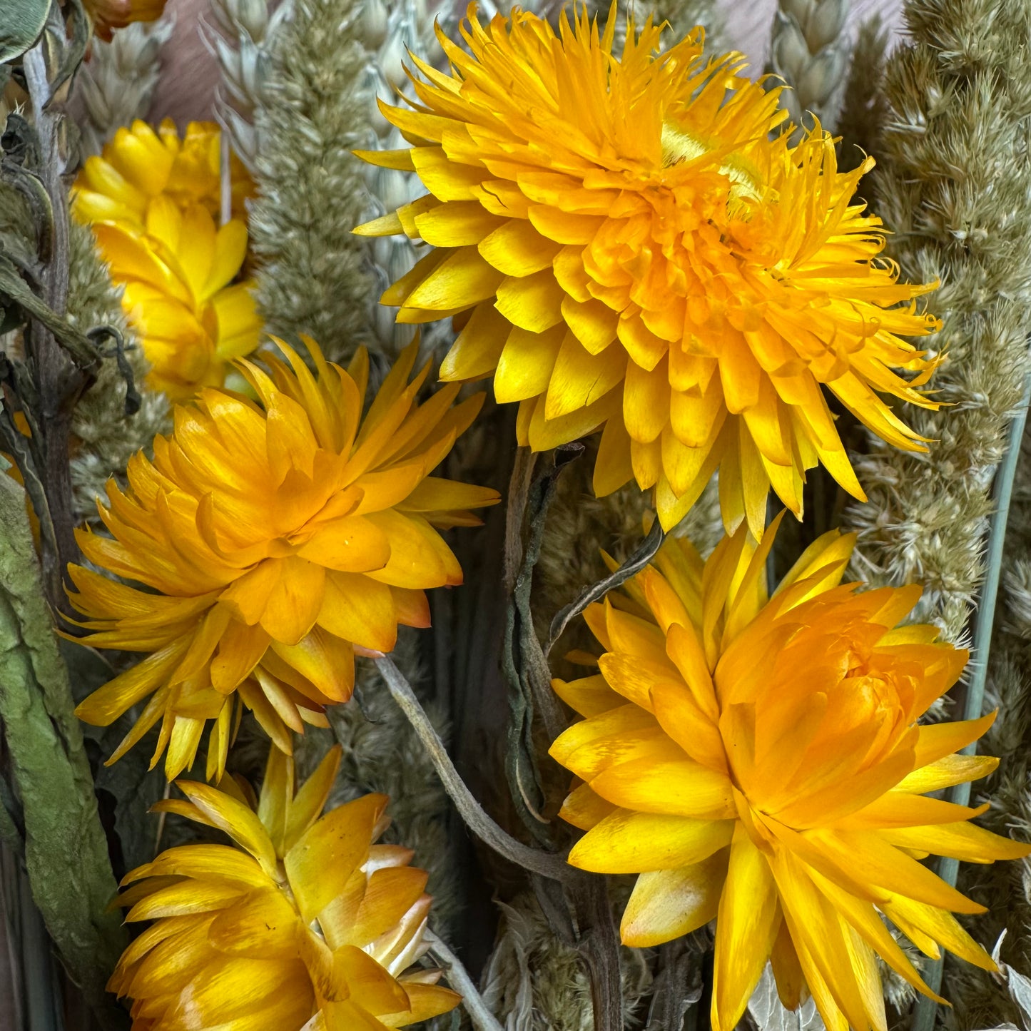 Bouquet fleurs séchées - Soleil