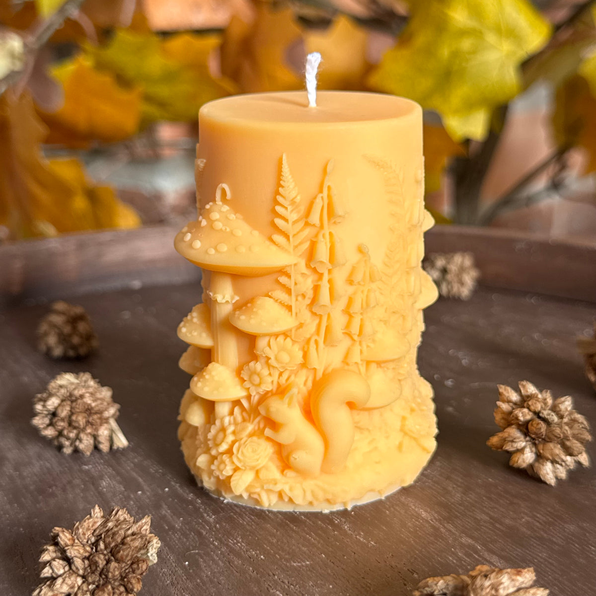 Forêt d’Automne