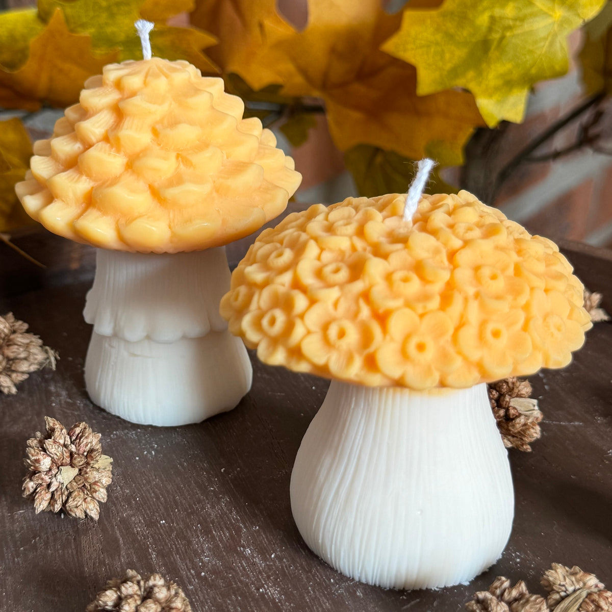 Champignon N°1