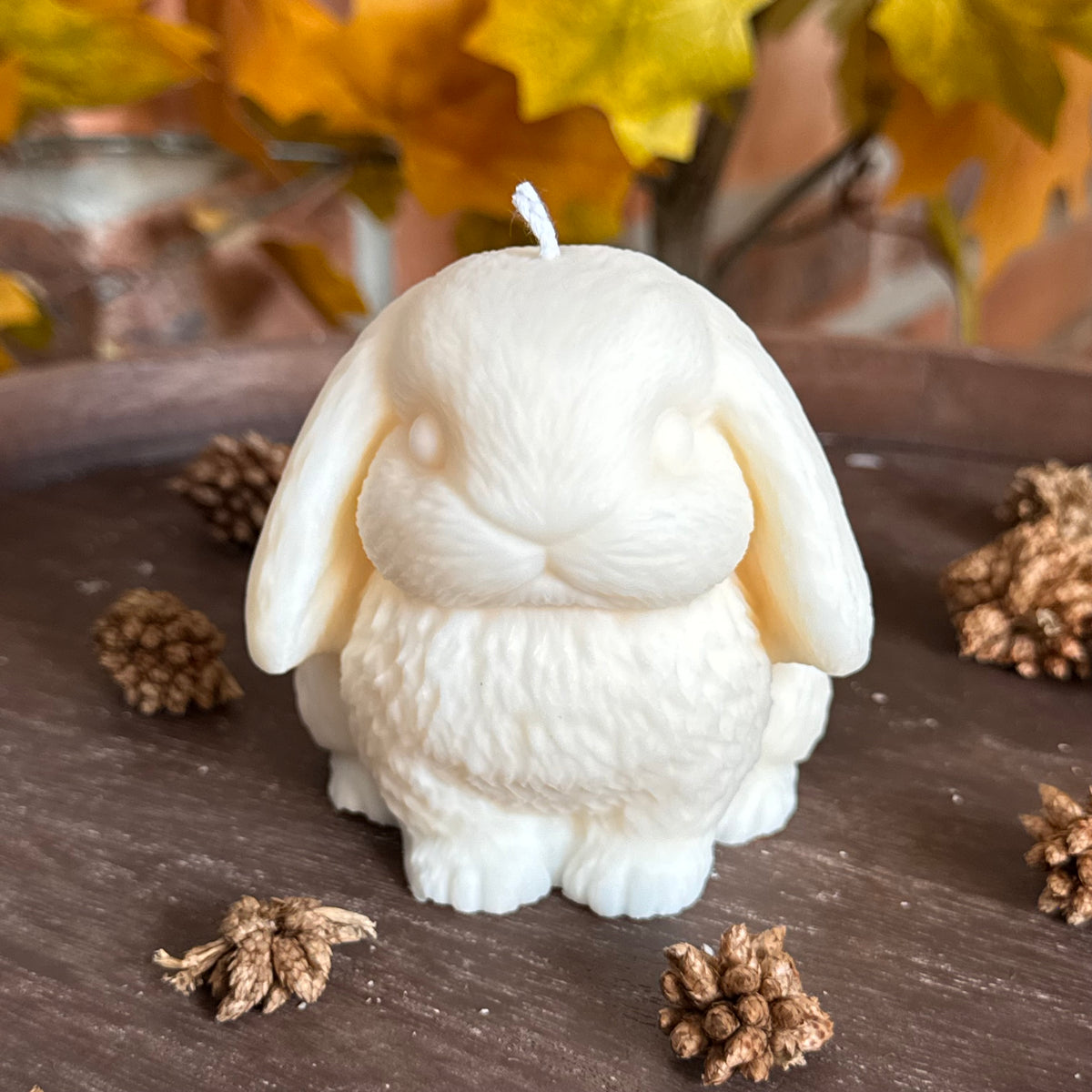 Lapin