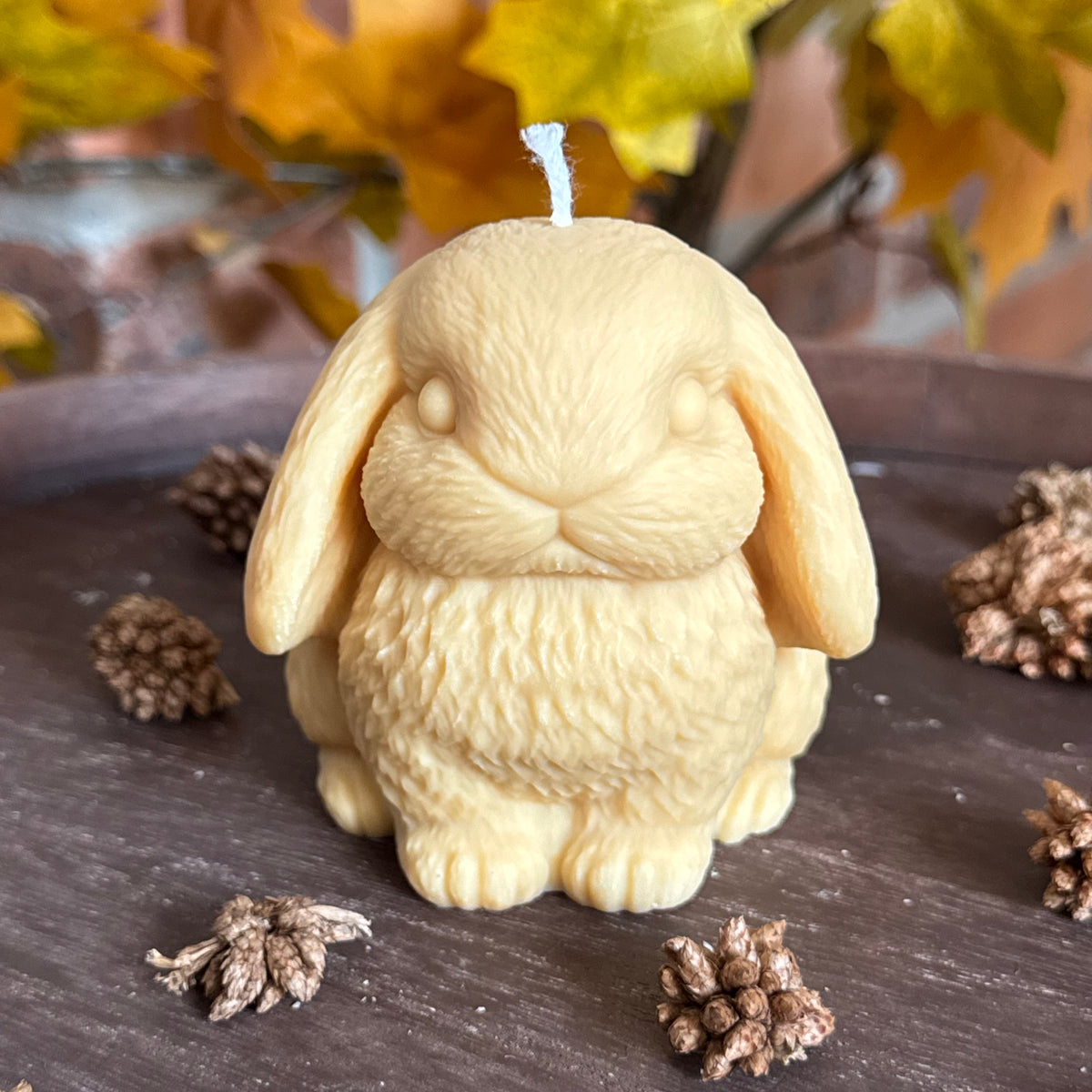 Lapin