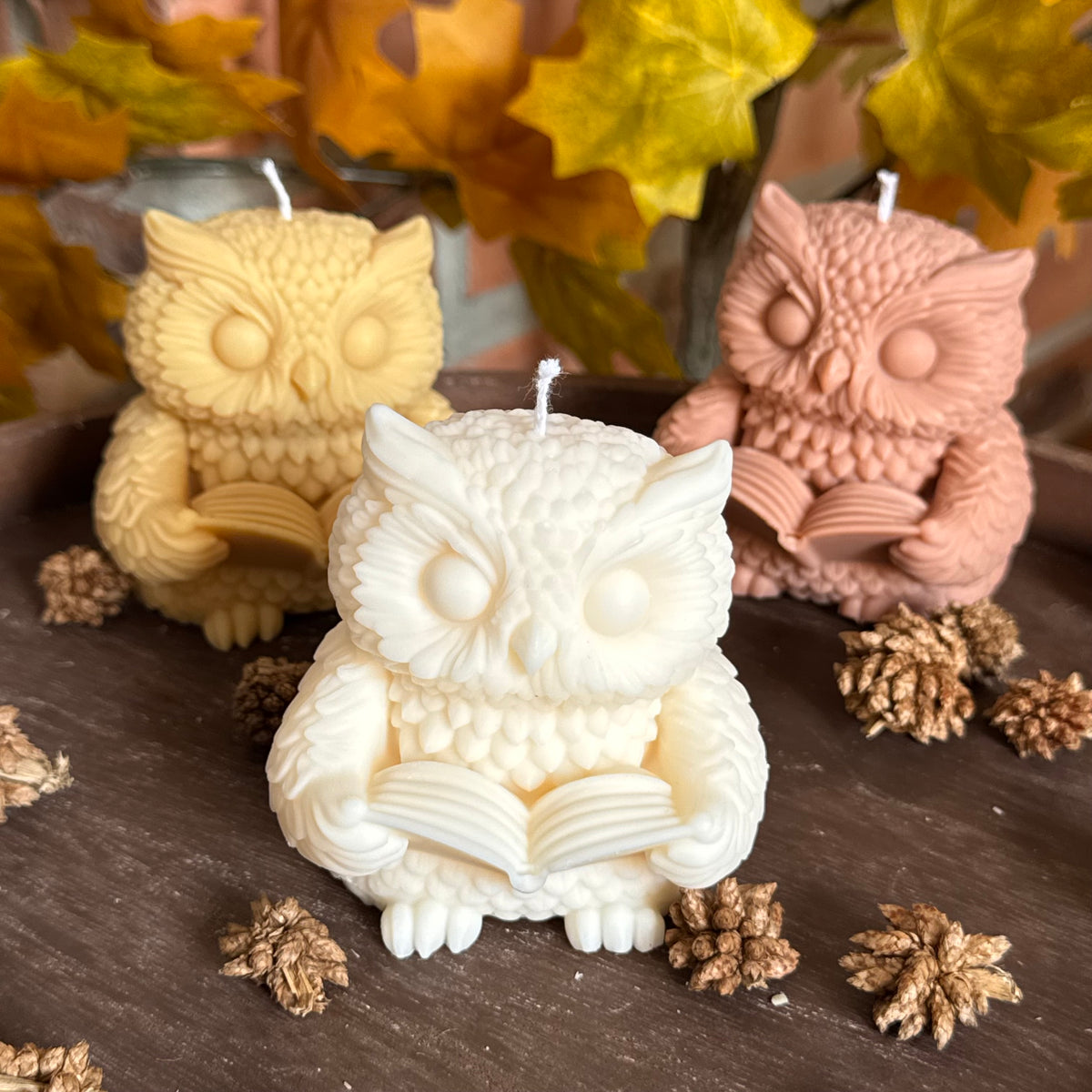 Hibou