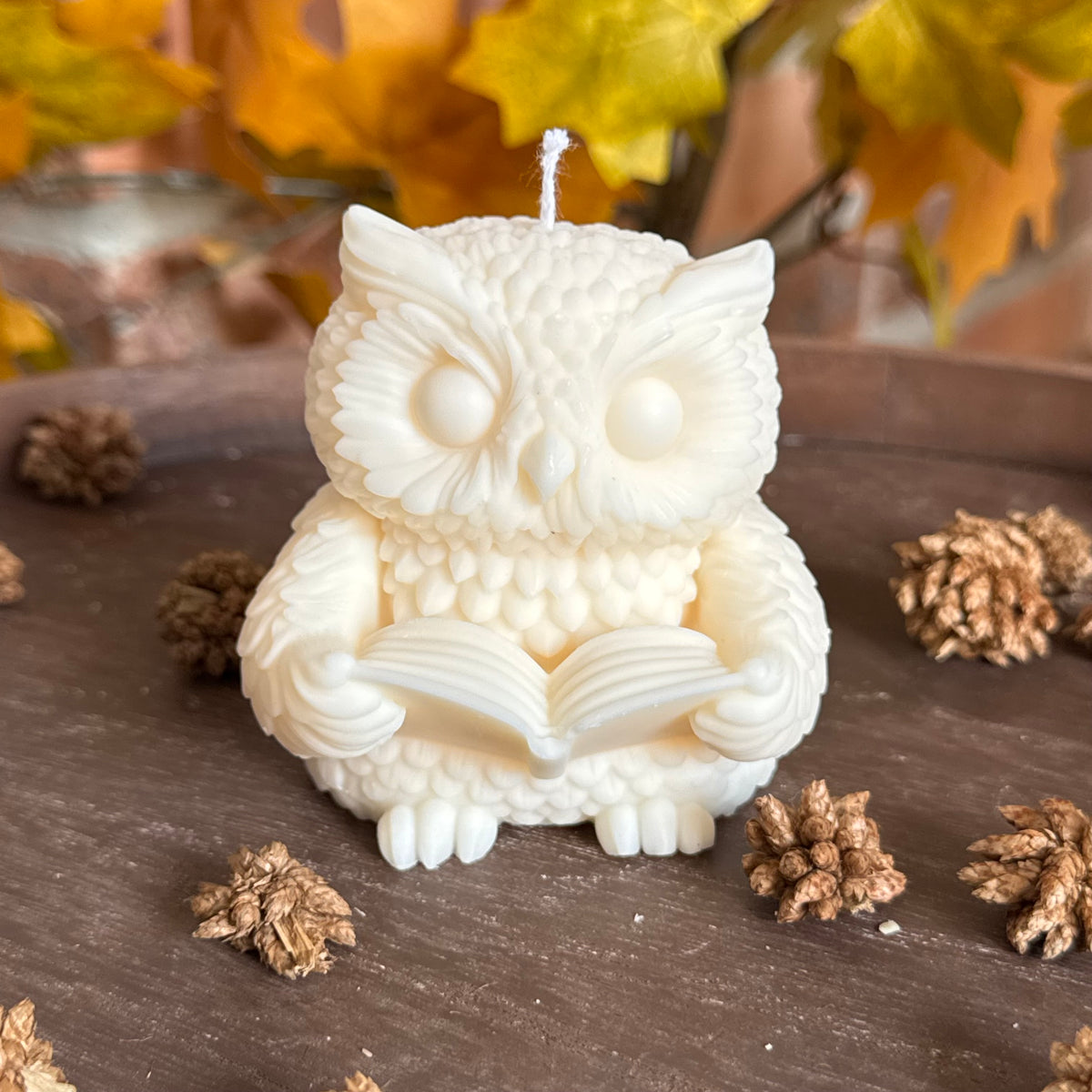 Hibou