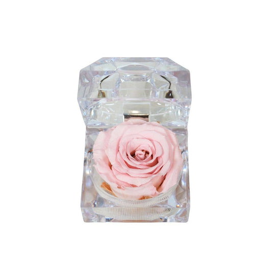 Écrin de Rose