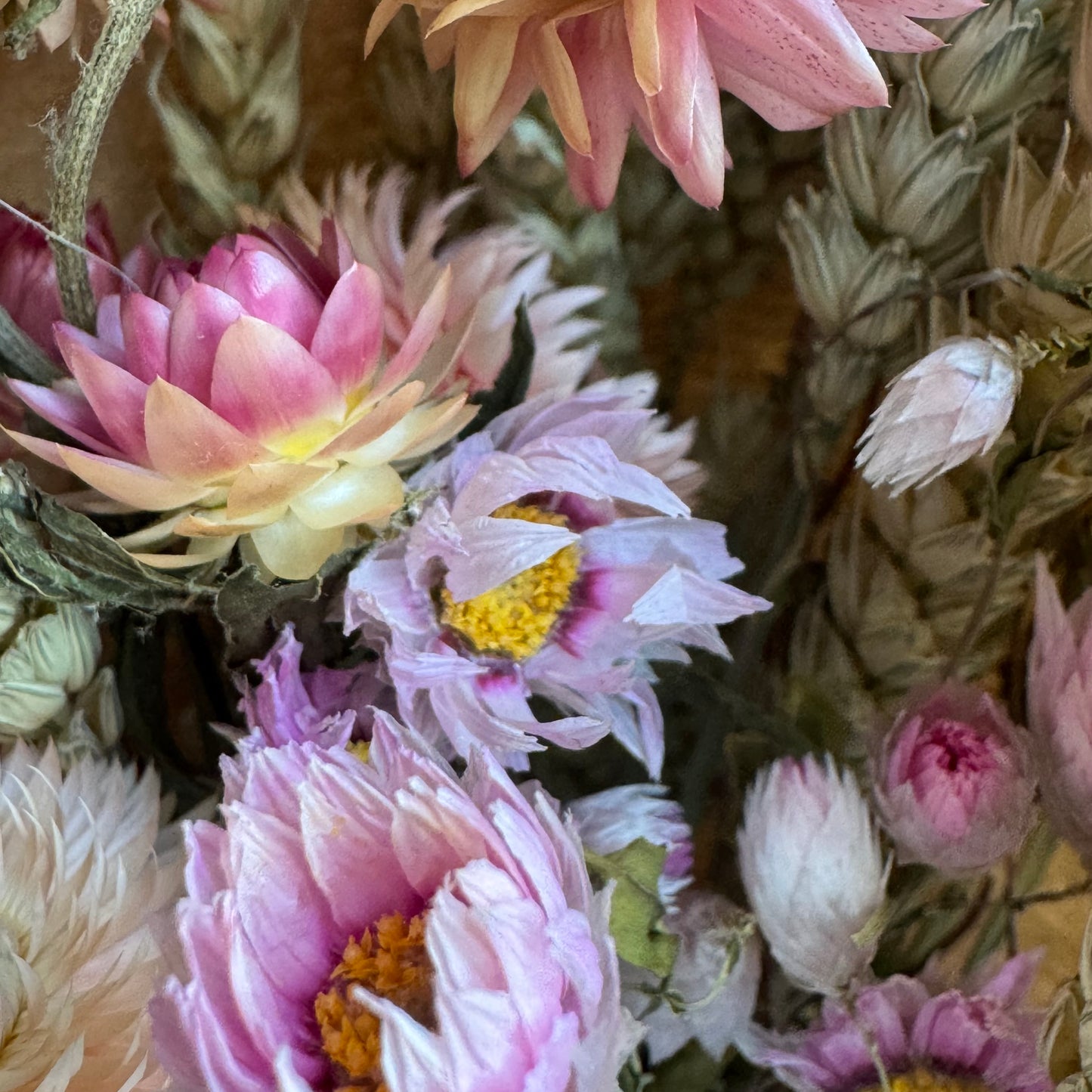 Bouquet fleurs séchées - Espérance
