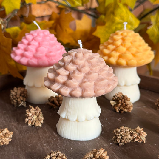 Champignon N°1