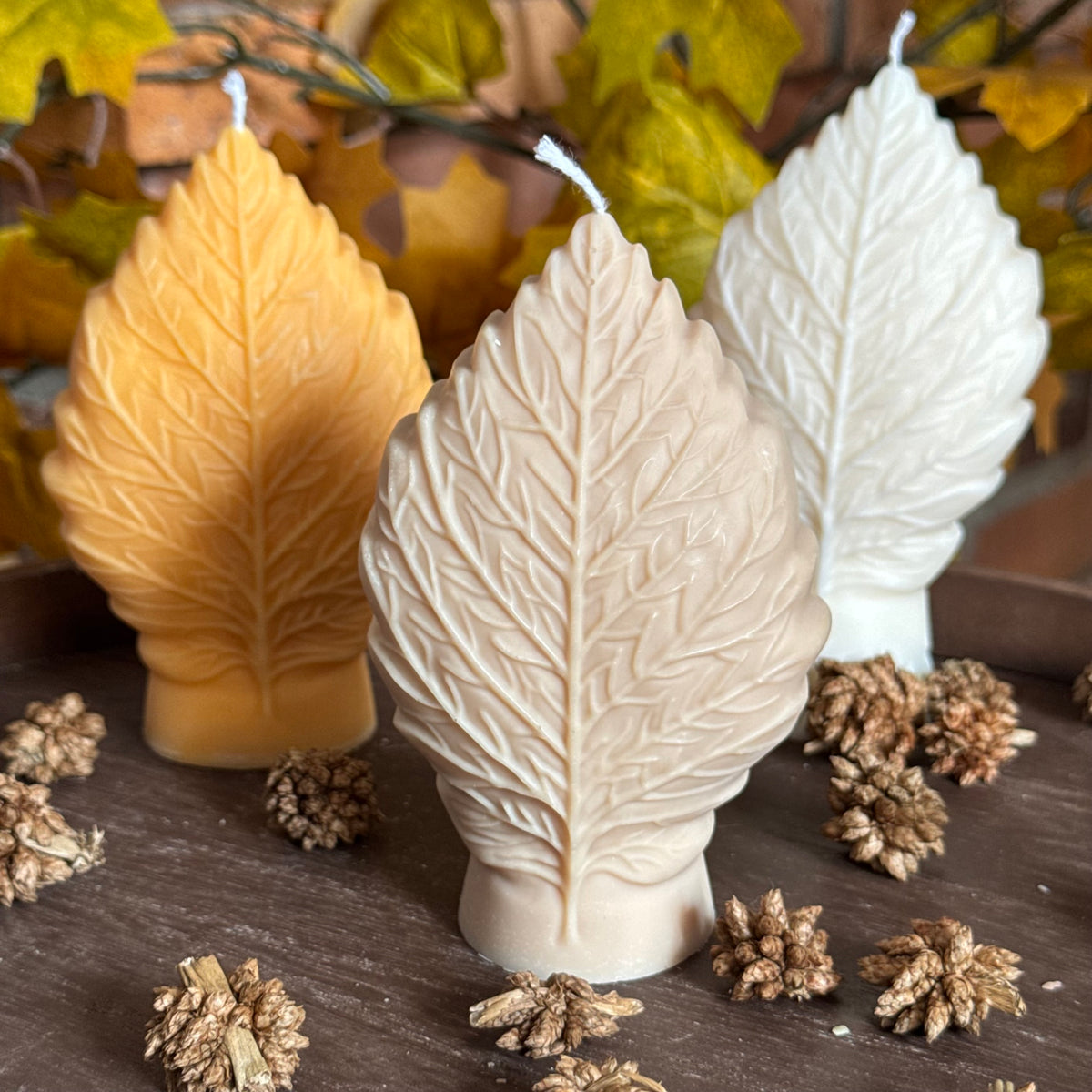 La Feuille