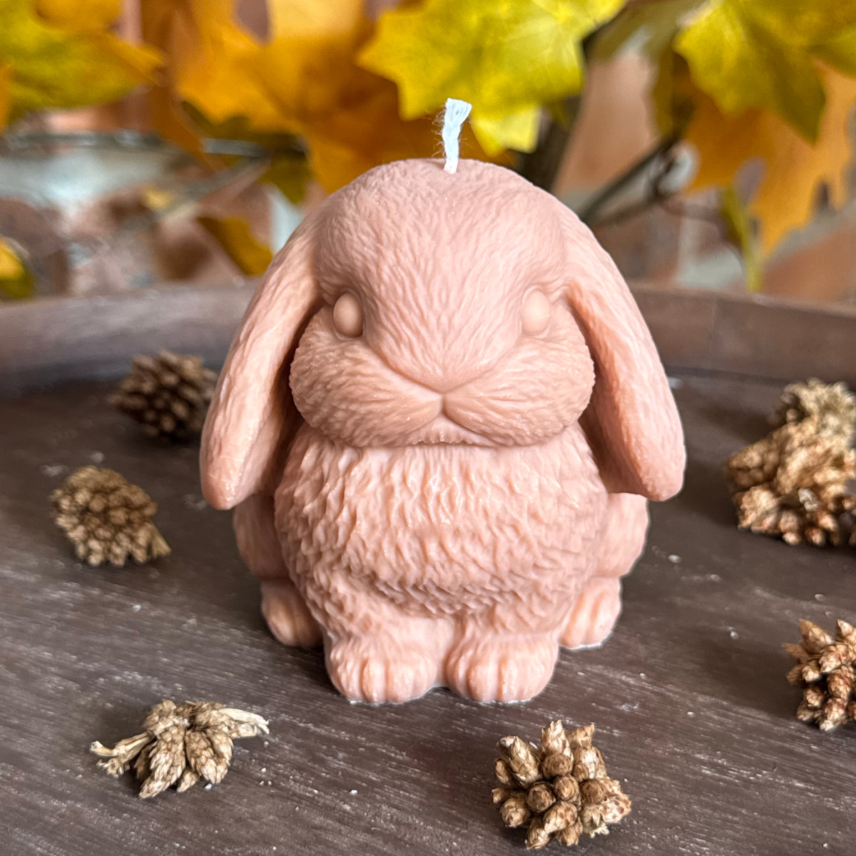 Lapin
