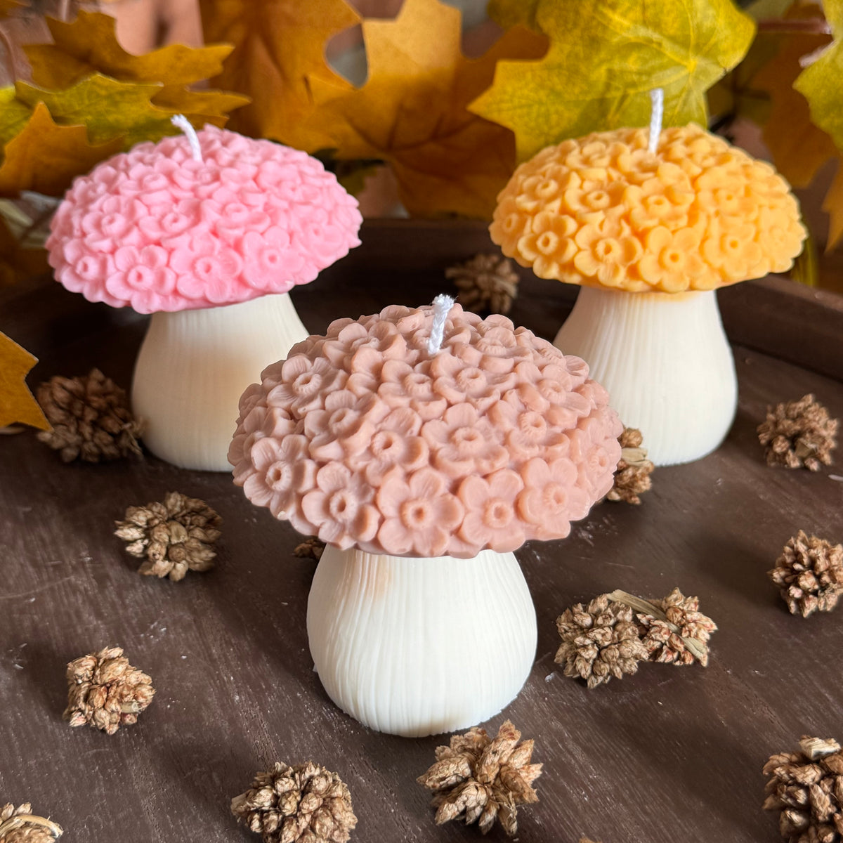 Champignon N°2