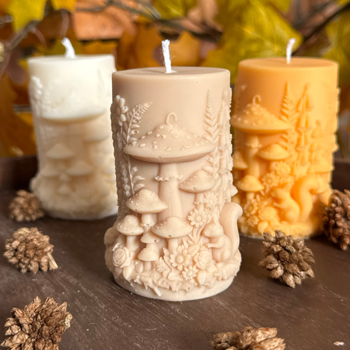 Forêt d’Automne
