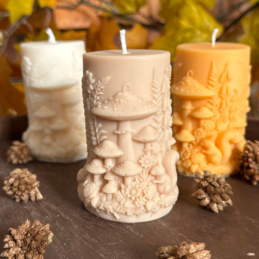 Forêt d’Automne