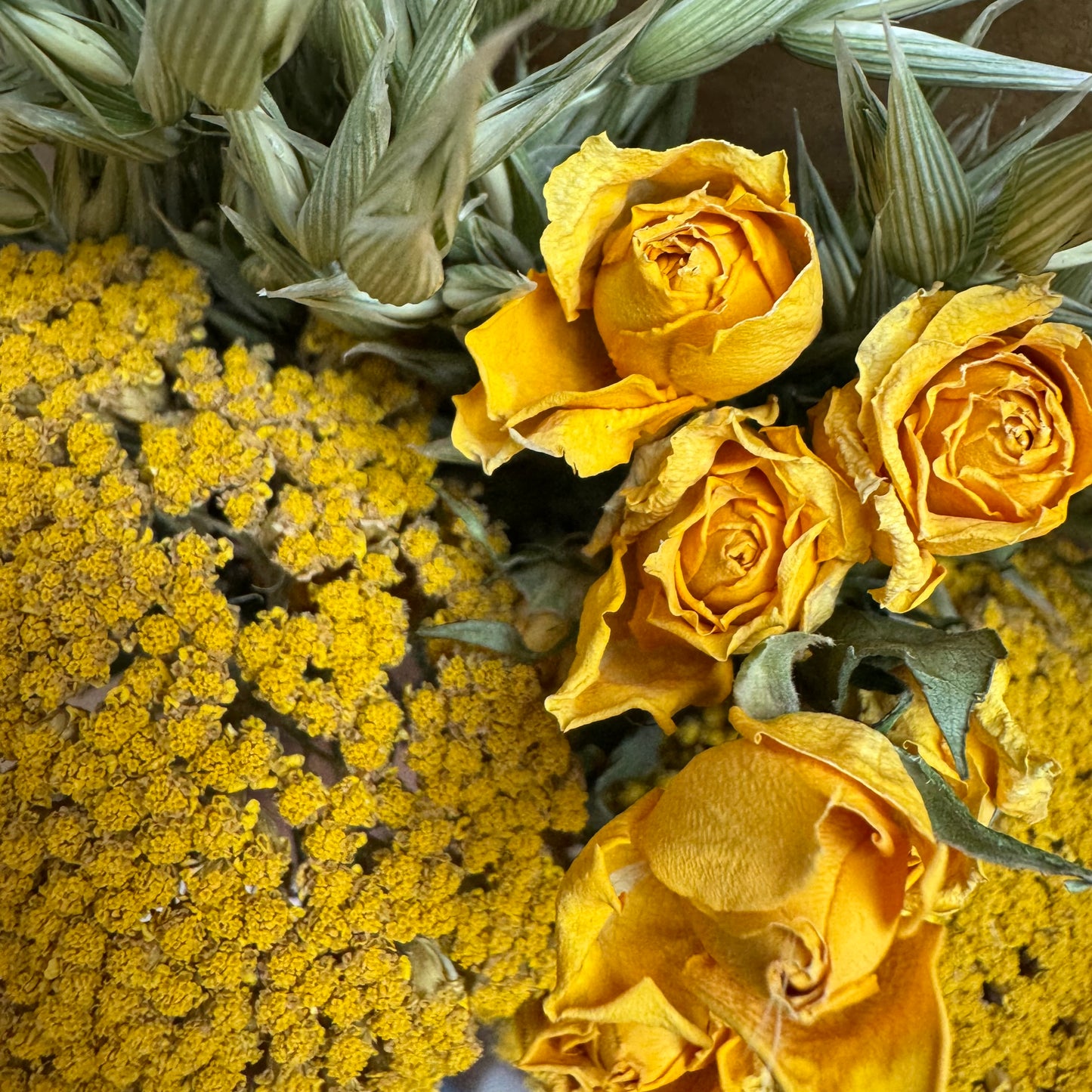 Bouquet fleurs séchées - Rosie