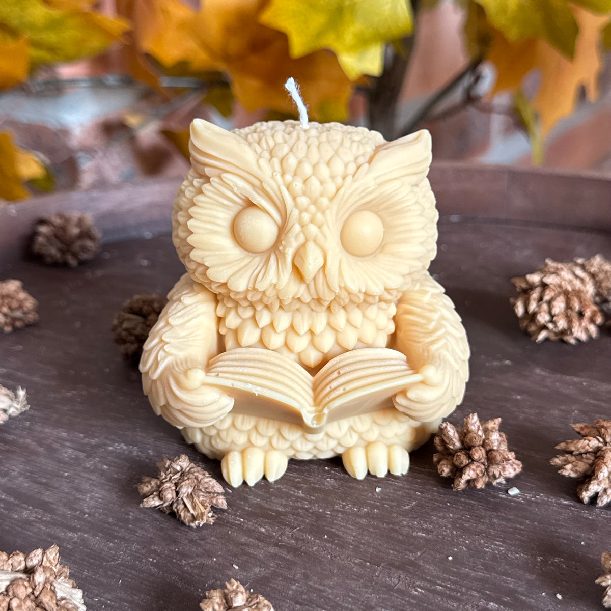 Hibou