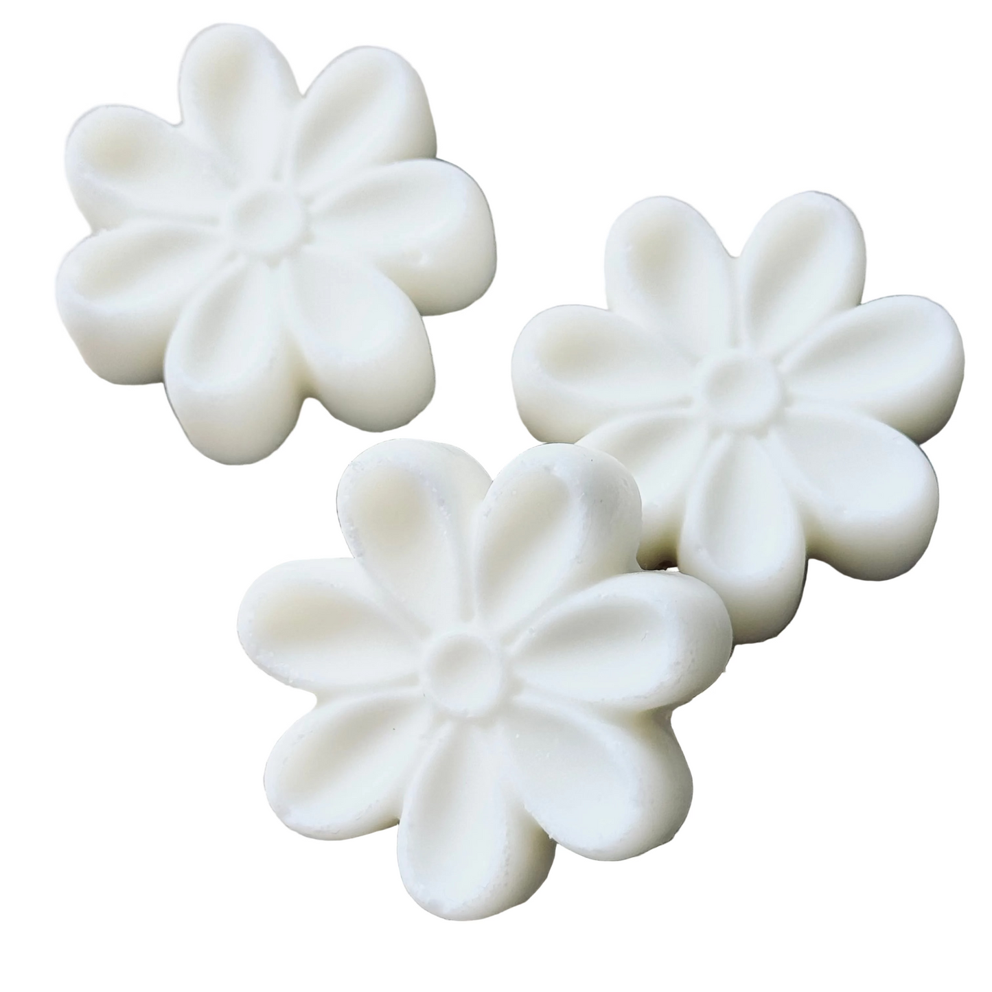 Fondants Clean (Lot de 5)