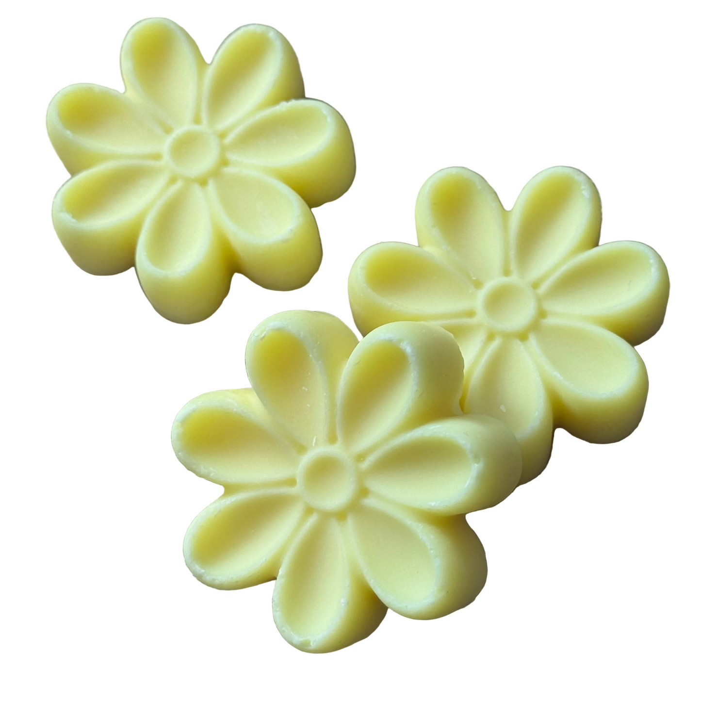 Fondants Coco Solaire (Lot de 5)