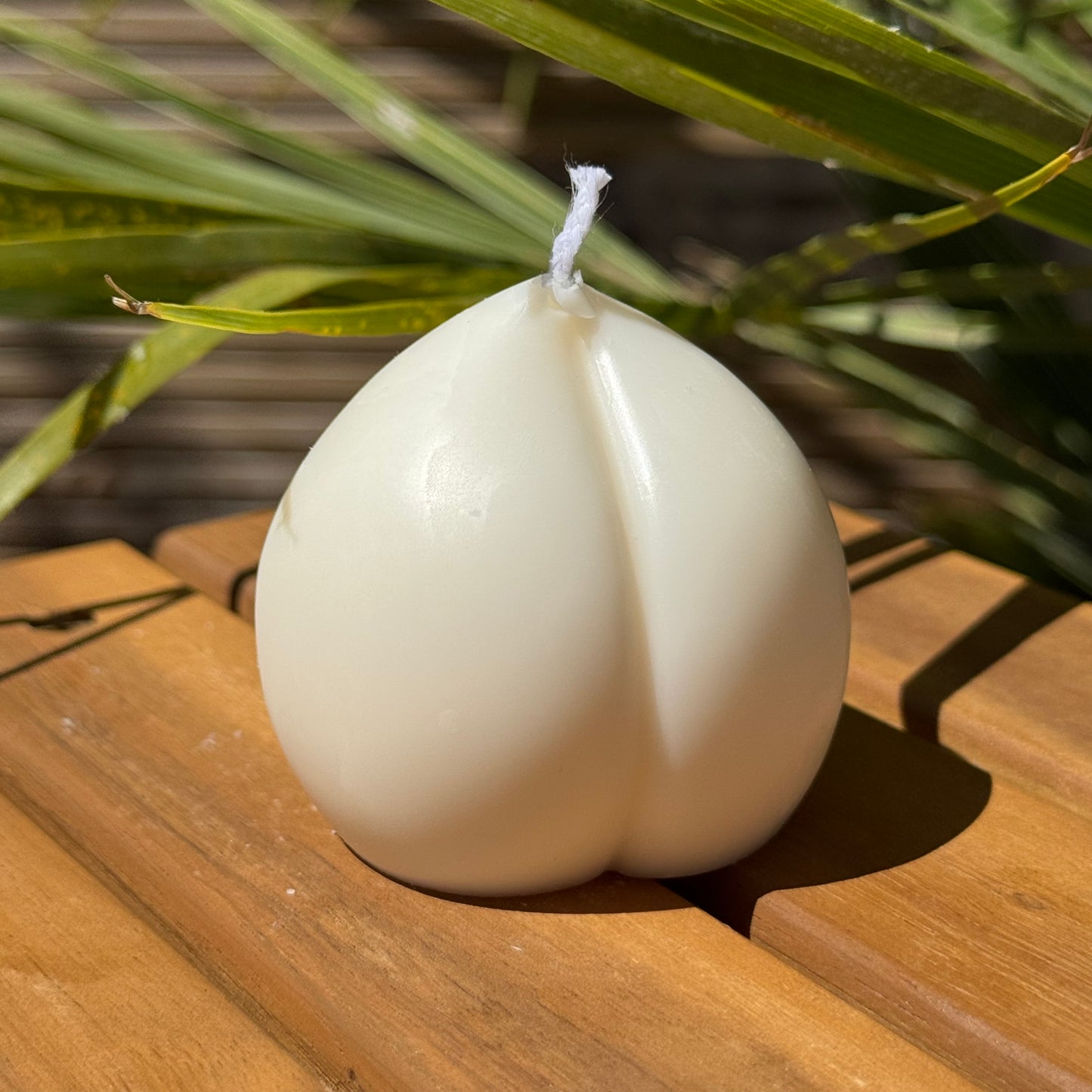 Pêche