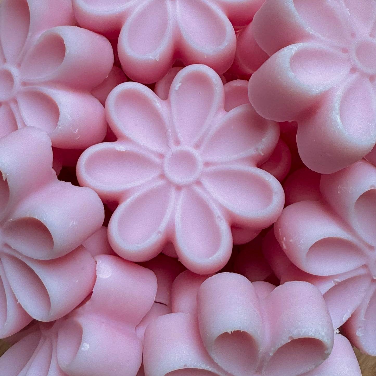 Fondants Jardin de Printemps (Lot de 5)