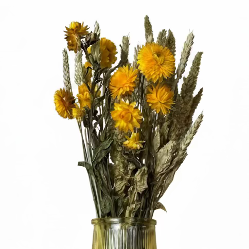 Bouquet fleurs séchées - Soleil