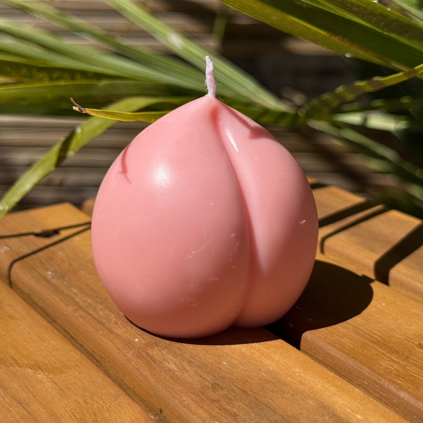 Pêche