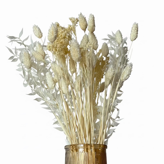 Bouquet fleurs séchées - Pure