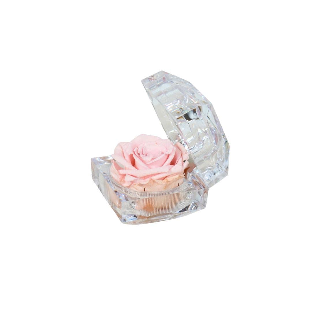 Écrin de Rose